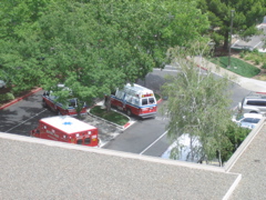 IMG_3033.JPG