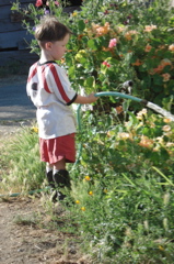 DSC00321