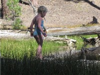 Exploring a reedy marsh,
Mt. Lassen Volcanic National Park