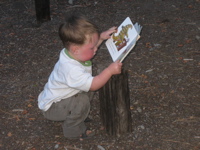 If books are a part of your life,
books will become a part of your child's life.