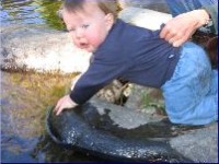 Learning to live within boundries
begins when the child 
is very young. 