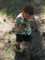 The "Kicking the Pinecone" game 
has no winners or losers.