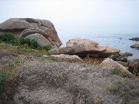 brittanyrocks0995