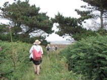brittanywalking