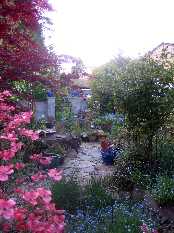 Spring Garden 