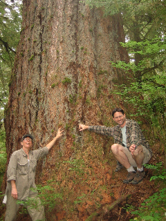 Aaron Lesan and Dianne Roth
give scale to a giant Douglas fir