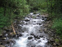Siletz River near
Valley of the Giants
