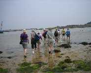 The hard way across the estuary,
Brittany, France