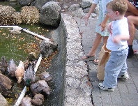 Noah feeding the ducks