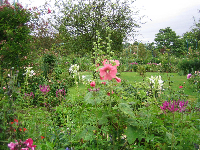 Borders, Monet’s Garden
Giverny, France