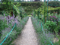 Winter Borders, Monet’s Garden
Giverny, France
