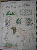 Sketchbook impression of
Monet’s Garden