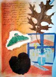 Sketchbook impressions
of Pilot Rock State Park, NC