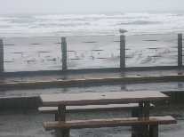 January at Nye Beach,
Newport, OR